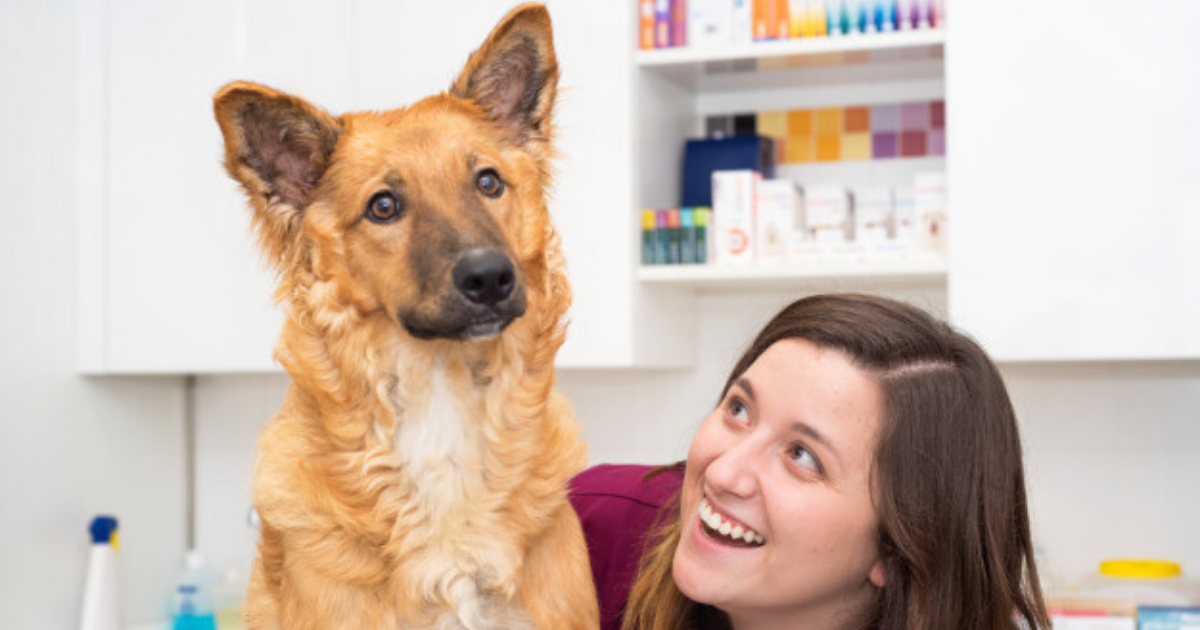 Terapia cu ajutorul animalelor: cum o poți folosi în cabinetul tău